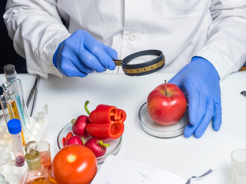 Empreender na cozinha. imagem de um técnico de segurança alimentar analisando frutas e legumes com uma lupa. 